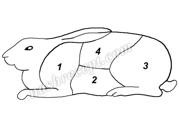 разделка тушки кролика - razdelka tushki krolika
