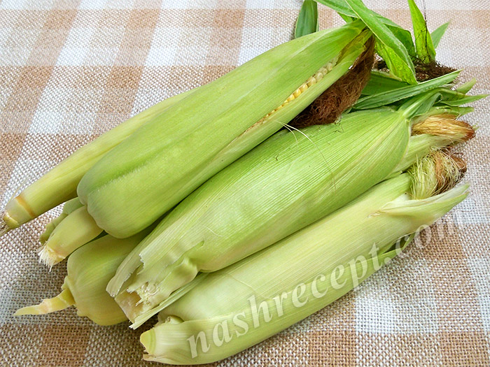 кукуруза в початках для варки - kukuruza v pochatkah dlya varki